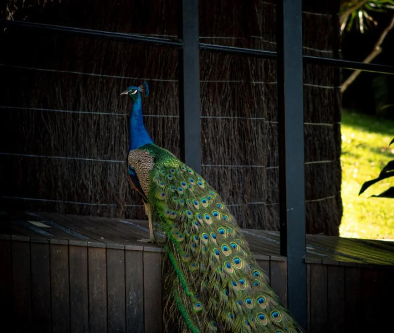 Cape Byron Retreat Byron Bay Villa Holiday home